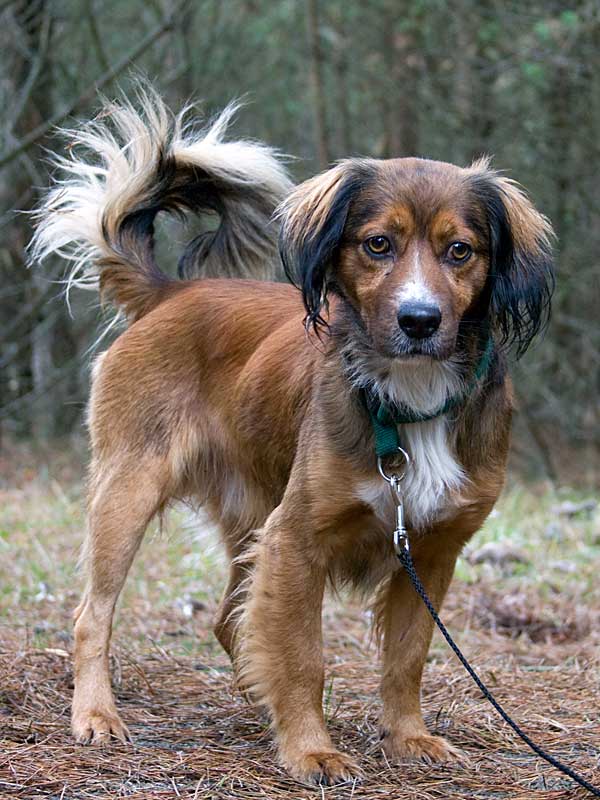 Murphy