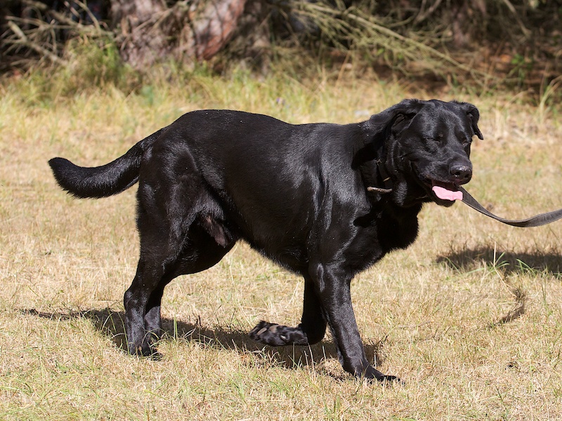 athuro 005