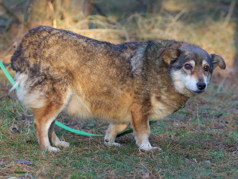 nobby 01