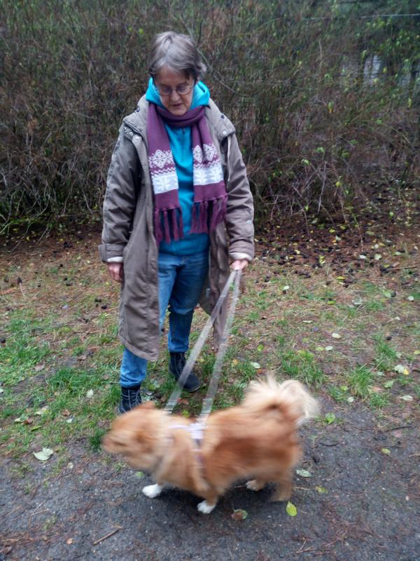Buddy