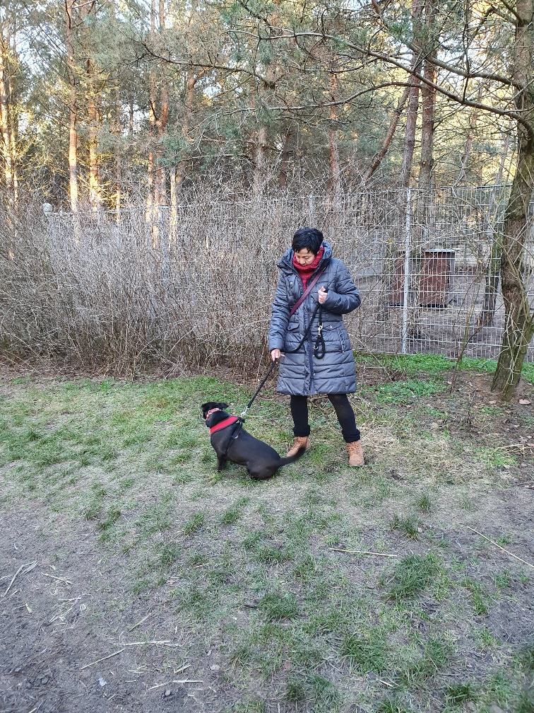 Kami