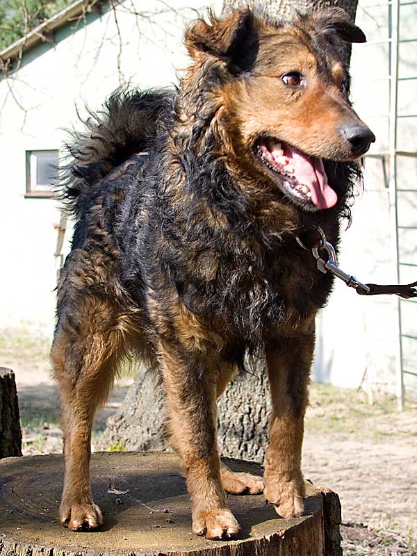 Bepperl
