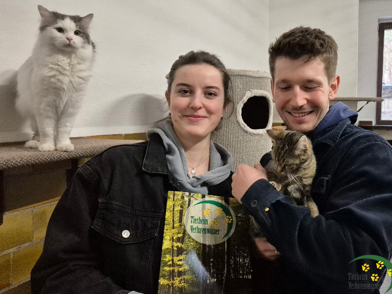 Katze Sissi aus dem Tierheim - vermittelt