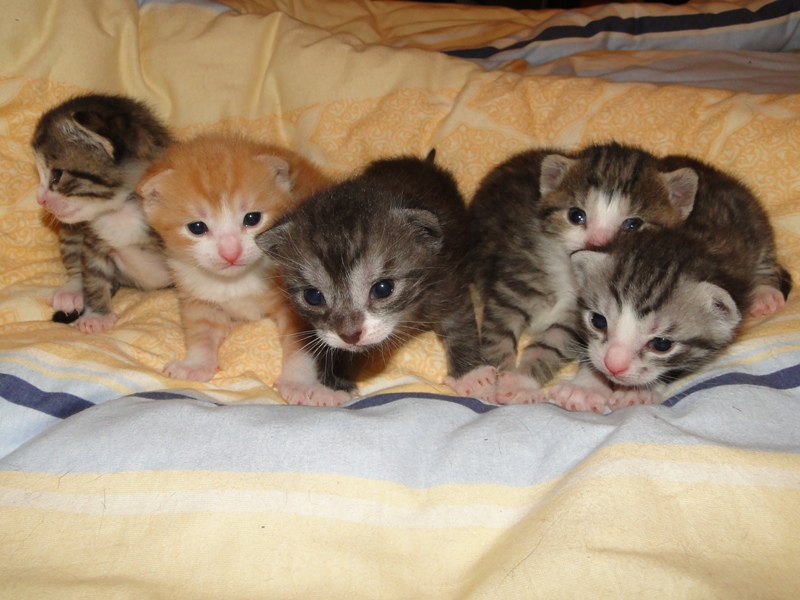 Gruppenbild