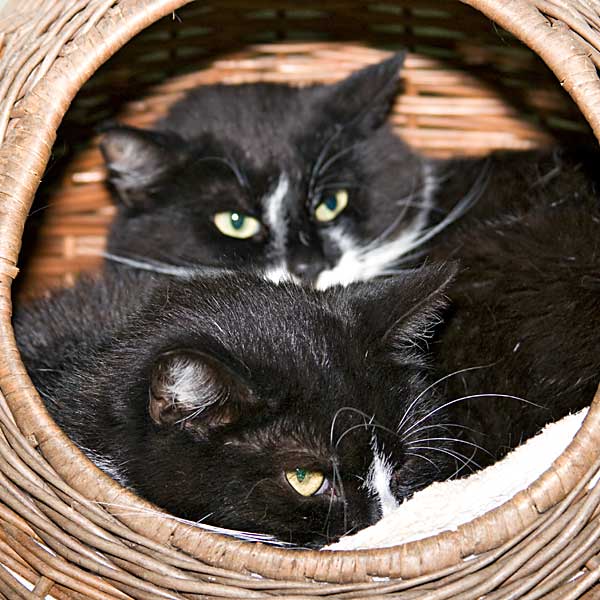 Nelly und Max