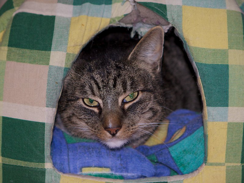 bruce 01