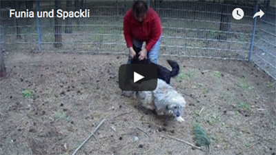 Funia Spackli