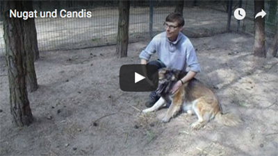 Nugat Candis
